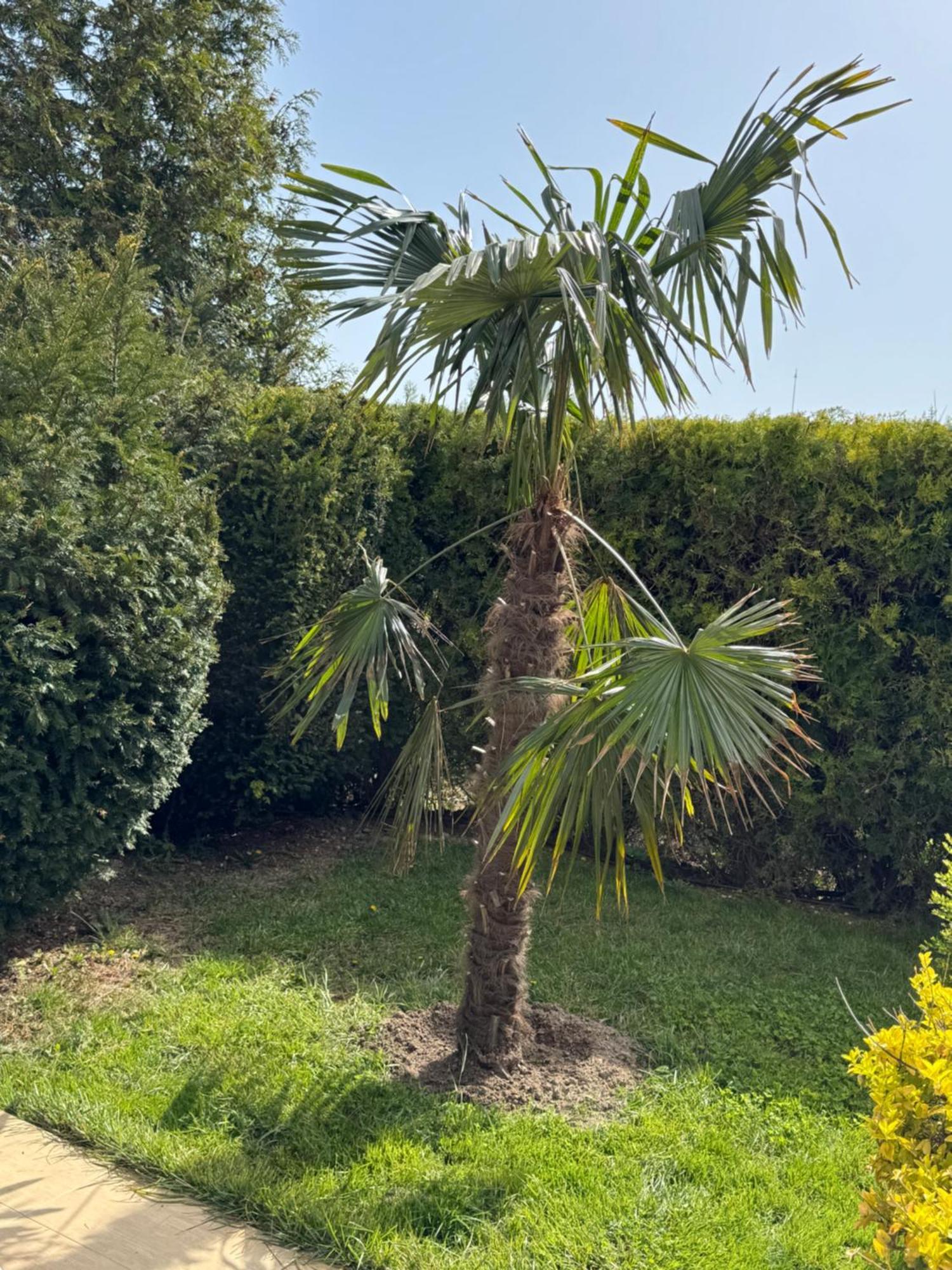 Villa Holiday Balcic Exterior foto